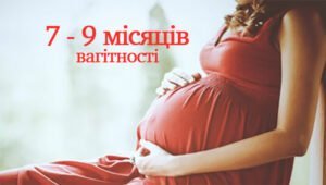 7-9 місяців вагітності